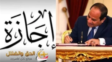 إجازة العاملين.. تعرف على تفاصيل قرار إجازة المتحف المصري وشروط احتساب الأجور الإضافية في القطاعين.